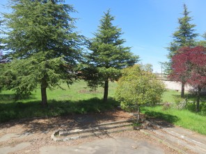 Jardín